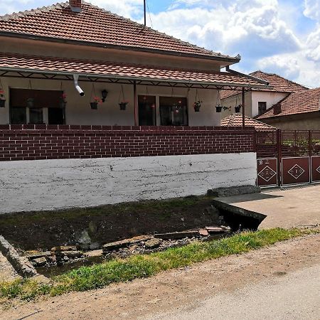 Kuca Mijalkovic Apartment Pirot Bagian luar foto