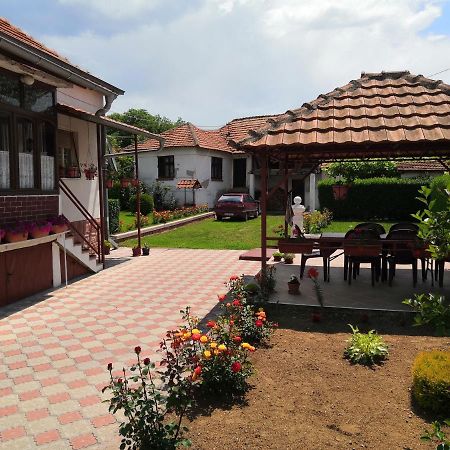 Kuca Mijalkovic Apartment Pirot Bagian luar foto