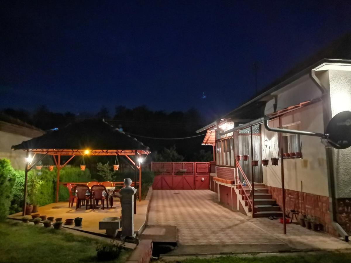 Kuca Mijalkovic Apartment Pirot Bagian luar foto