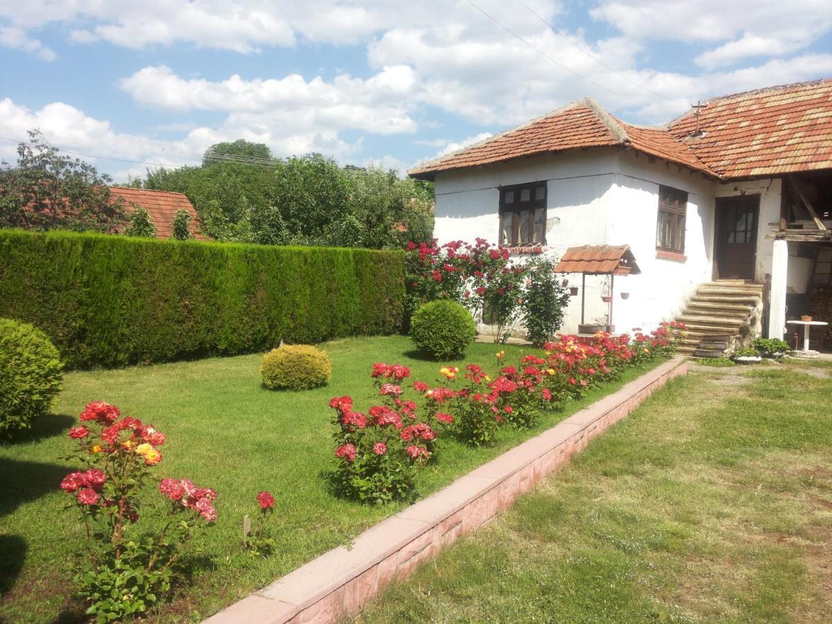 Kuca Mijalkovic Apartment Pirot Bagian luar foto