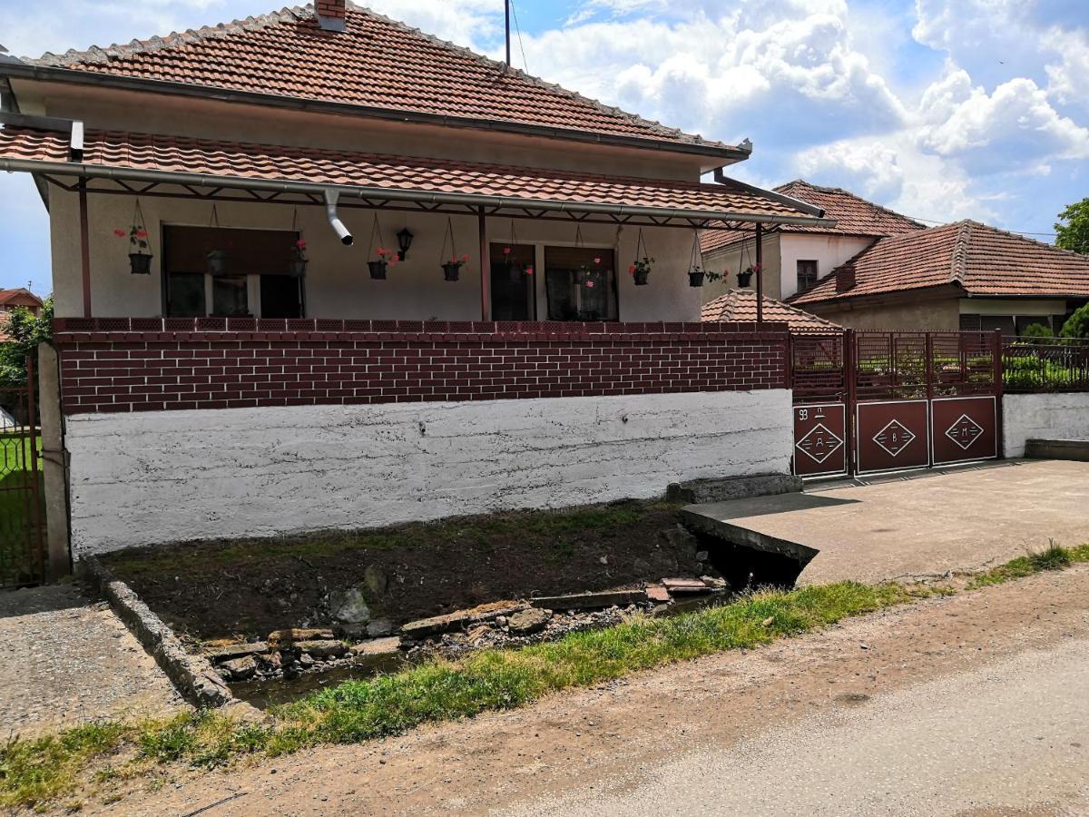 Kuca Mijalkovic Apartment Pirot Bagian luar foto