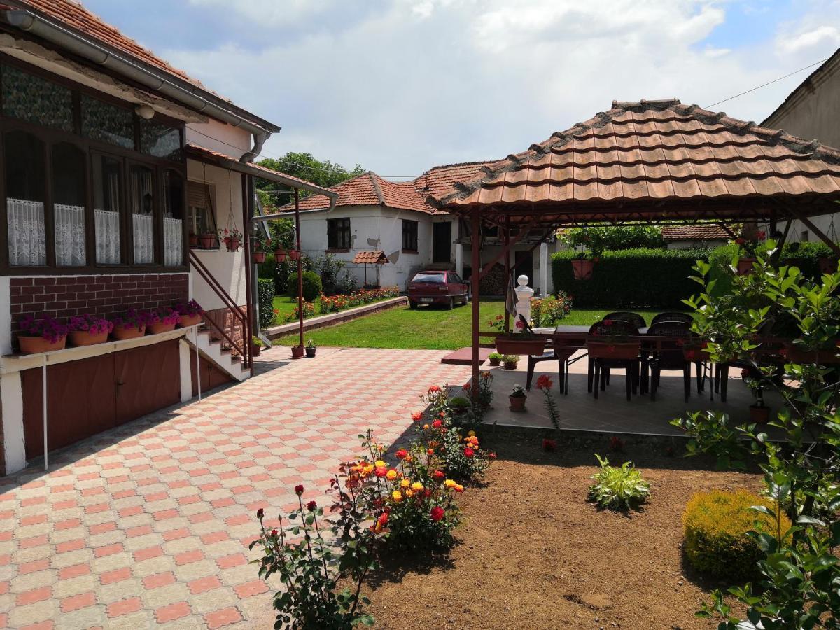 Kuca Mijalkovic Apartment Pirot Bagian luar foto